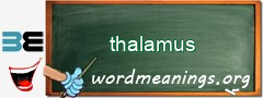 WordMeaning blackboard for thalamus